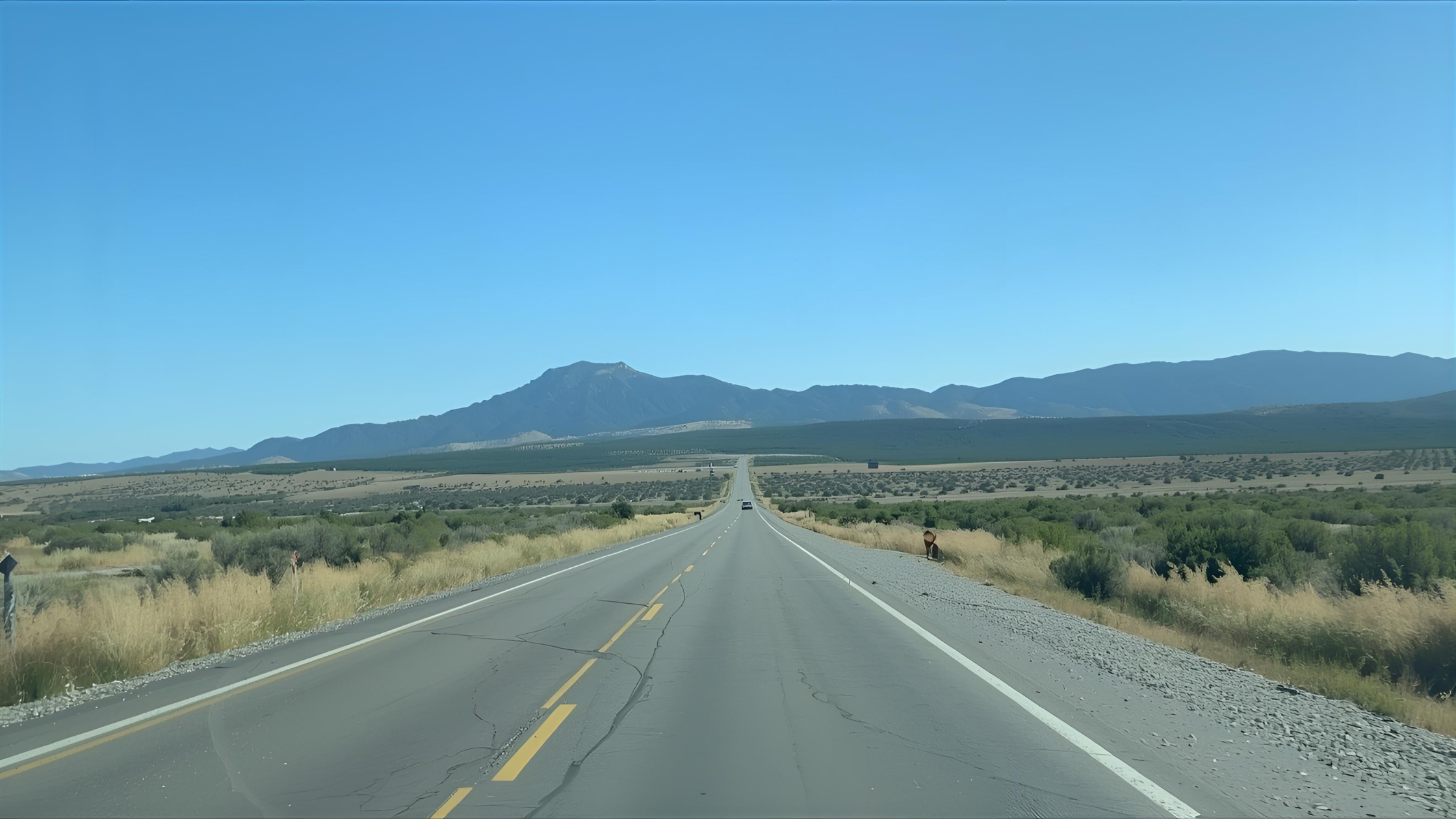 Car Travel Comfort Essentials for Long Drives