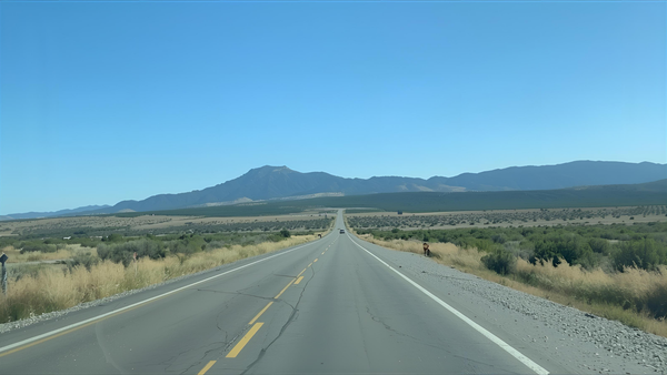 Car Travel Comfort Essentials for Long Drives